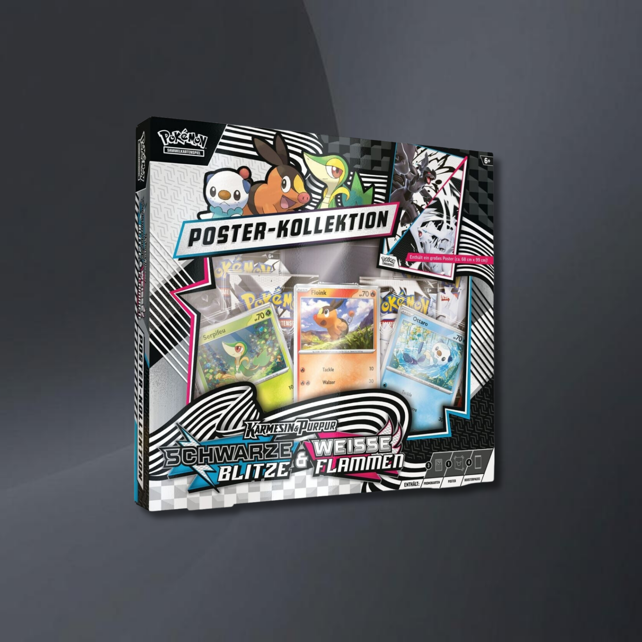 Pokémon TCG Schwarze Blitze & Weiße Flammen (KP10.5) - Poster-Kollektion