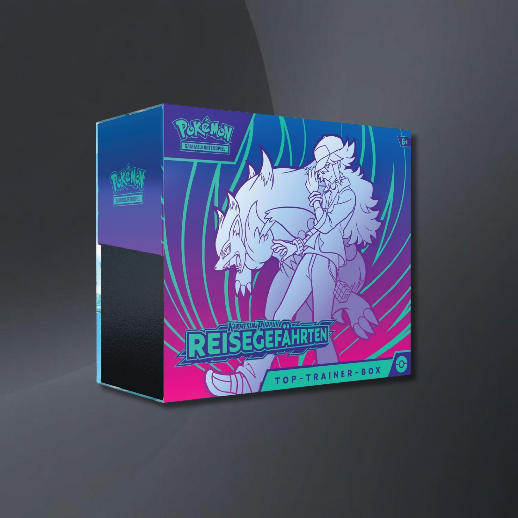 Reisegefährten Top Trainer Box