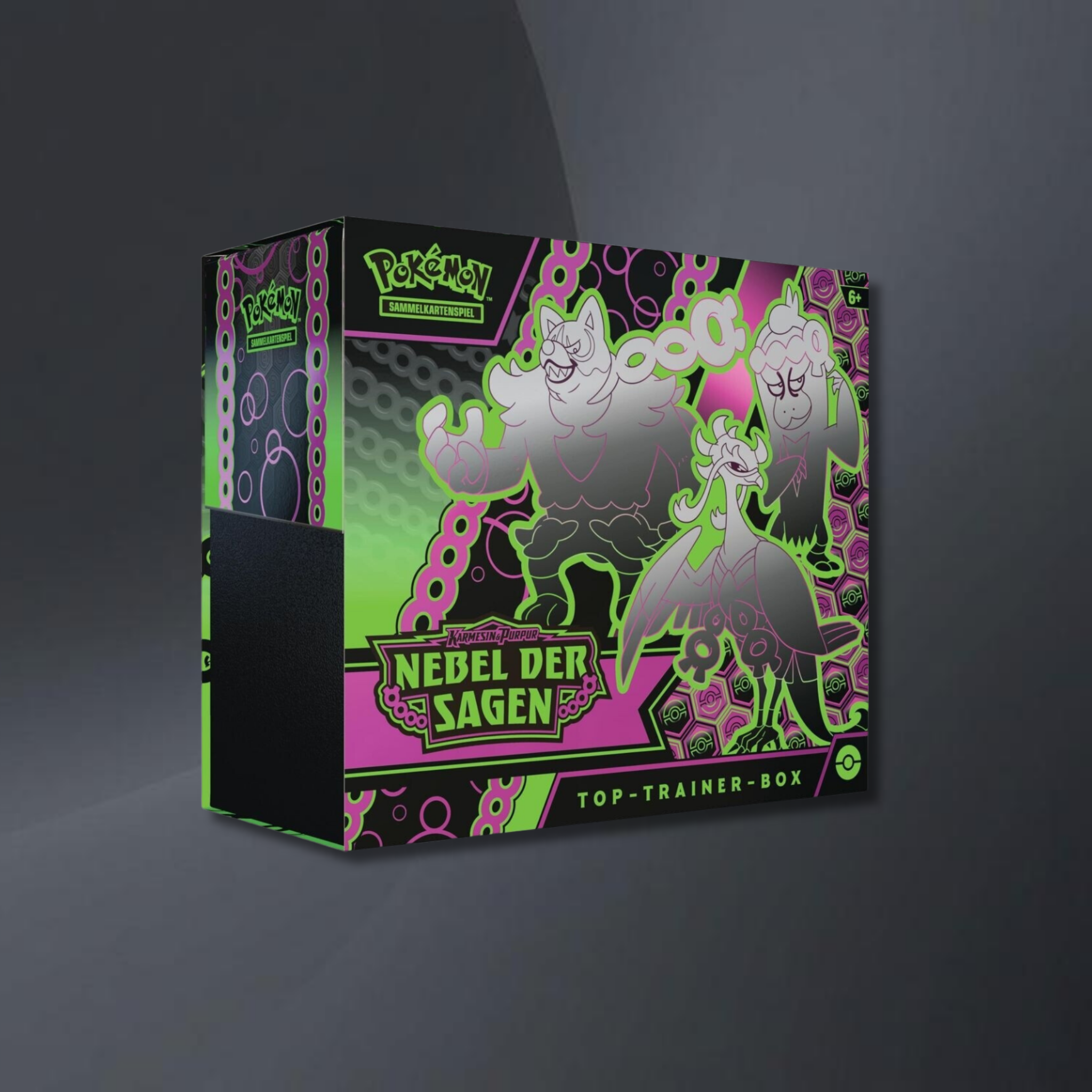 Nebel der Sagen TTB kaufen – Top Trainer Box | RareFlame TCG