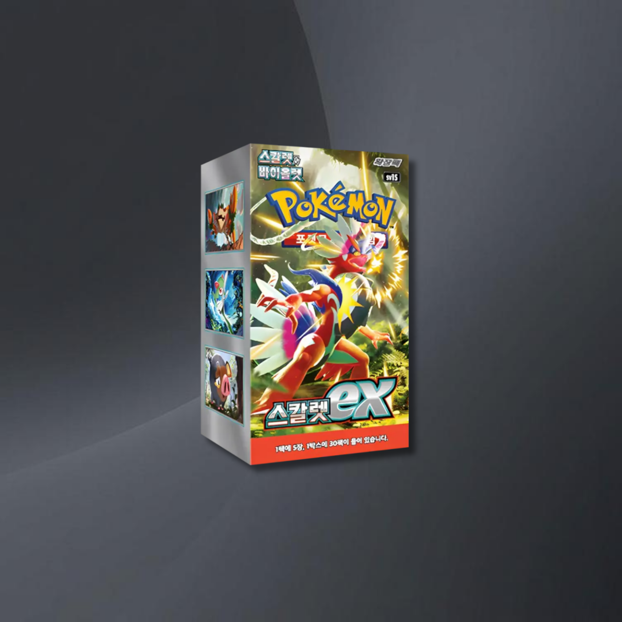 Pokémon - Scarlet ex - Display Koreanisch