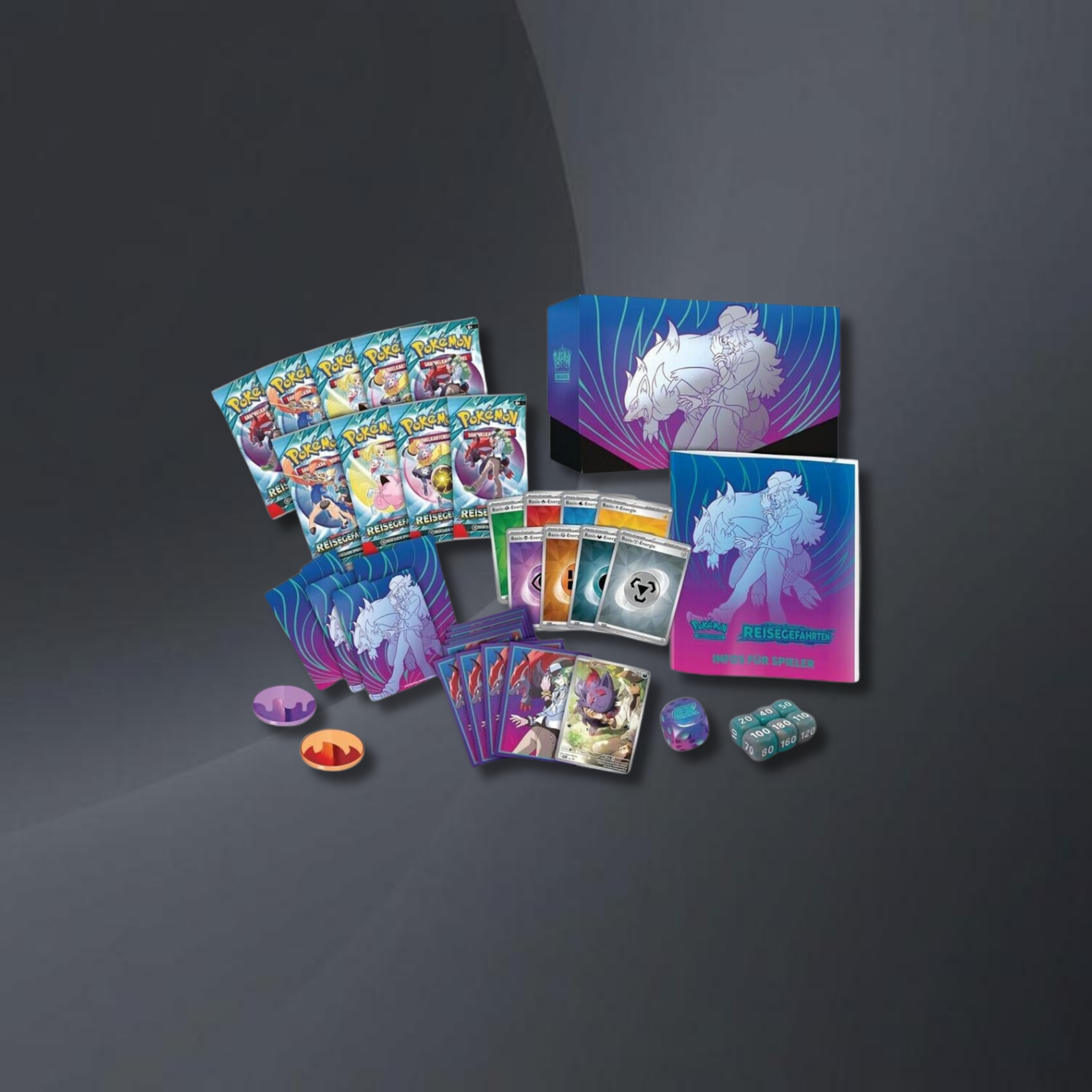 Reisegefaehrten TTB kaufen Top Trainer Box RareFlame TCG Inhalt